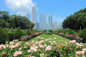 Pink flowers and green bushes in a formal garden with a grassy path, framed by trees. Modern skyscrapers rise in the background under a blue sky with a few clouds.