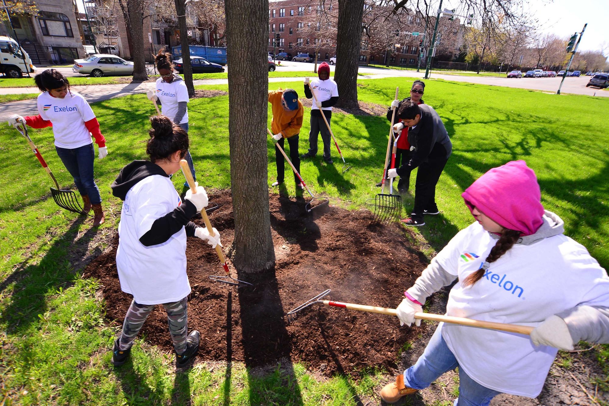 Cleaning up out. Clean Park. Park Cleaning. Volunteering Cleaning. Volunteering activities.