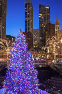 A Christmas tree covered in colorful lights stands in front of tall city buildings and leafless trees decorated with string lights at dusk.