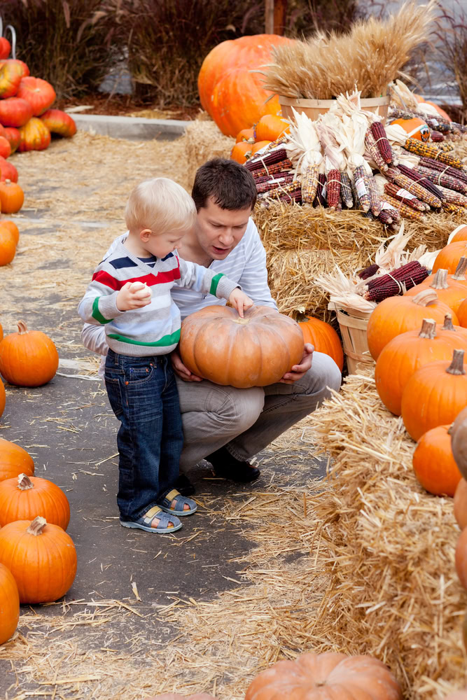 A man and a young boy examine a large pumpkin together at an outdoor pumpkin patch, surrounded by pumpkins, hay bales, and decorative corn.