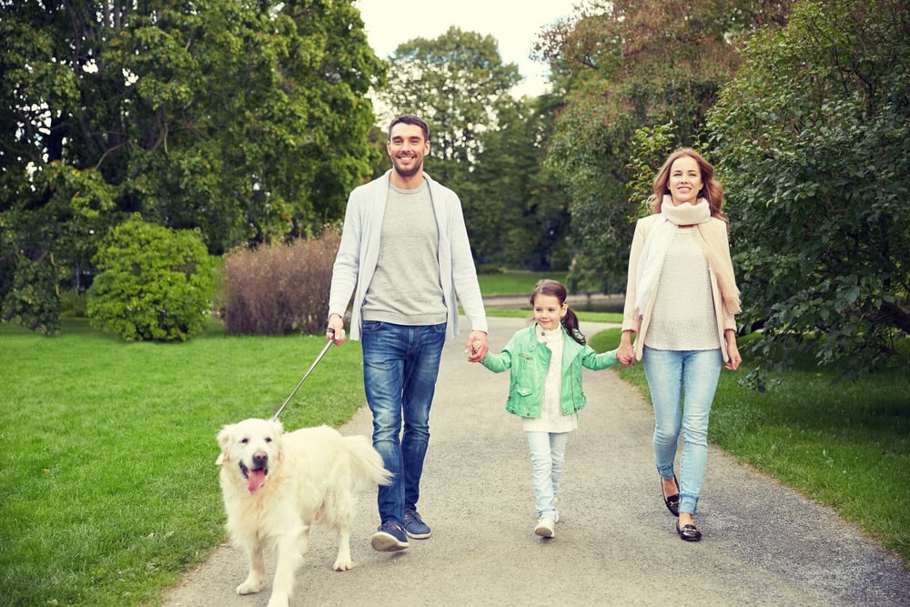 A man, woman, and young girl walk together in a park holding hands and walking a large white dog on a leash. Trees and grass are visible in the background.