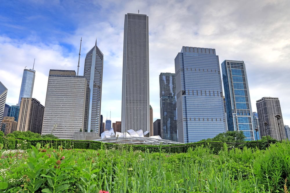 View of downtown Chicago skyscrapers with greenery and plants in the foreground under a partly cloudy sky.