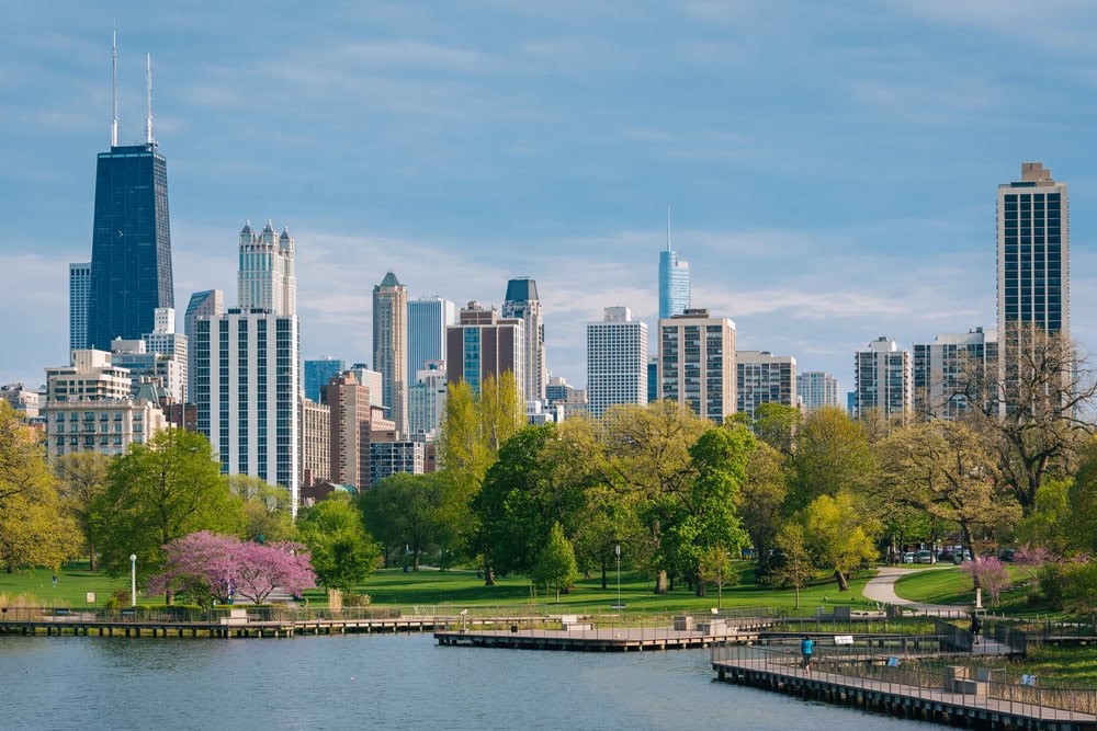 Chicago city skyline with tall buildings and skyscrapers in the background, trees with spring foliage in the foreground, and a body of water in the park.