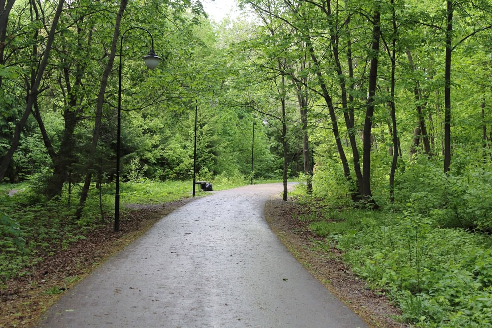 A paved pathway winds through a green, wooded area with trees on both sides and a streetlamp to the left.