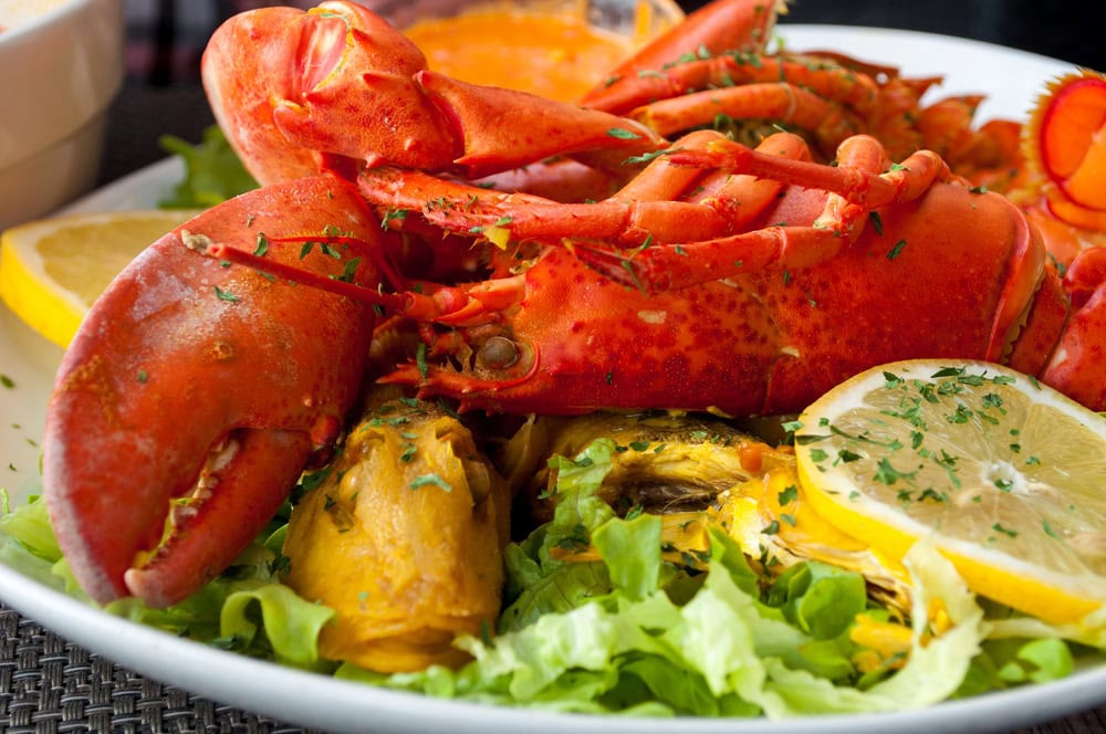 A cooked whole lobster served on a bed of lettuce with lemon slices and herbs on a white plate.