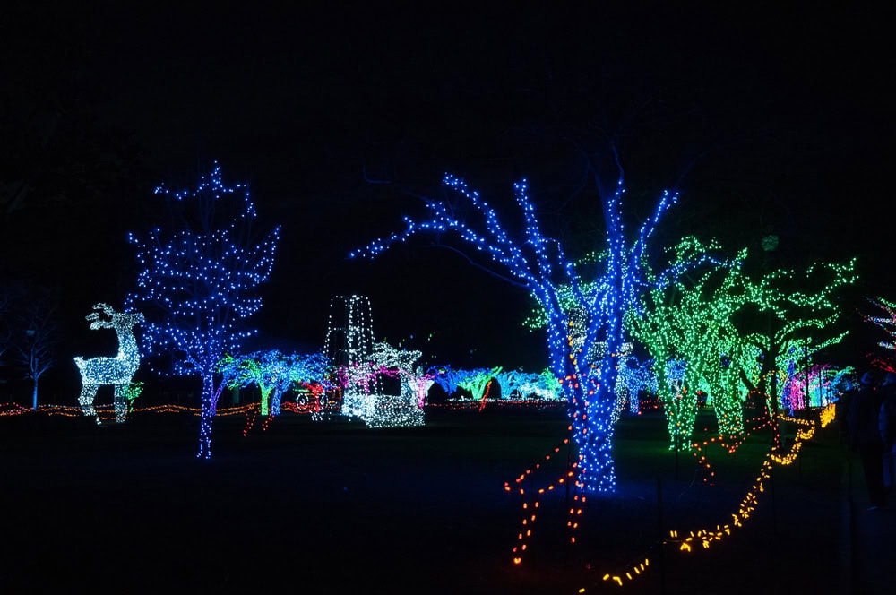 Trees decorated with colorful holiday lights, including blue, green, and orange, with illuminated animal and carriage figures displayed in a nighttime outdoor setting.