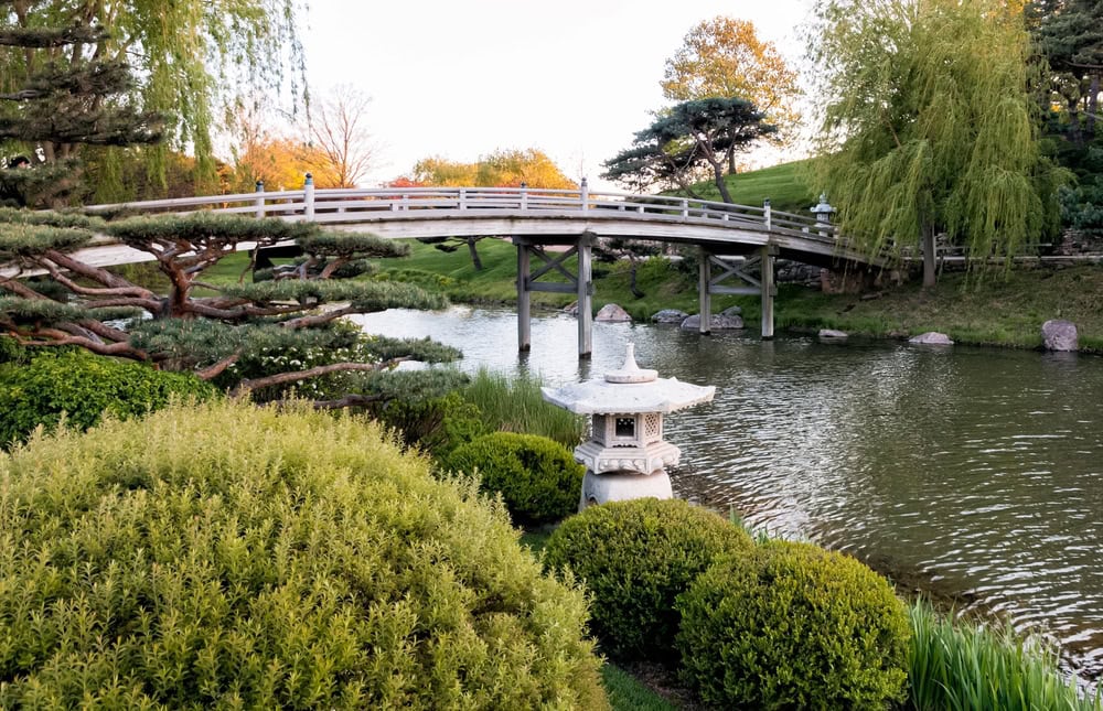 A wooden arched bridge crosses over a pond surrounded by green shrubs, trees, and a stone lantern in a landscaped garden.