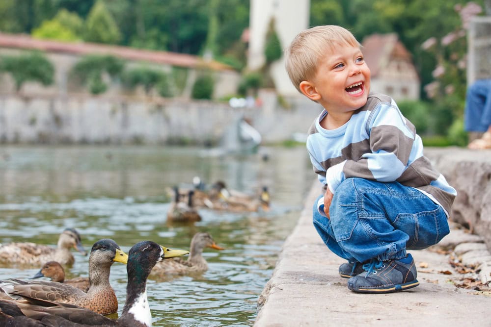 A young boy squats by the edge of a pond, smiling and looking at ducks swimming nearby on a cloudy day.