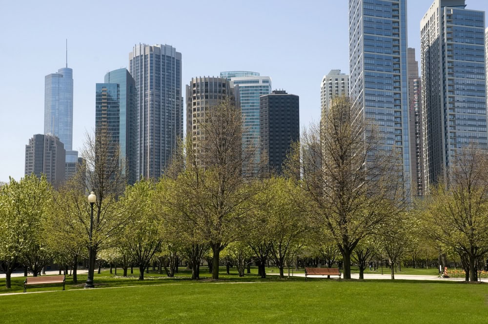 City park with green grass and trees in the foreground, and tall modern skyscrapers in the background under a clear sky.