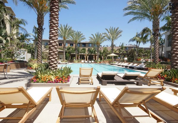 Outdoor pool area with lounge chairs, palm trees, landscaped gardens, and a clear blue sky, surrounded by modern buildings.